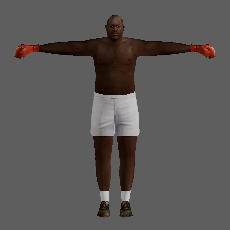 boxer04