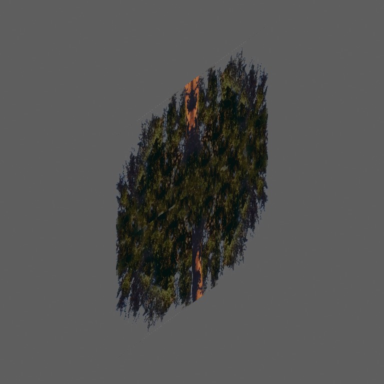 2treeg