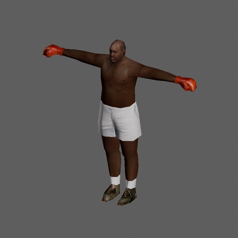 Boxer04