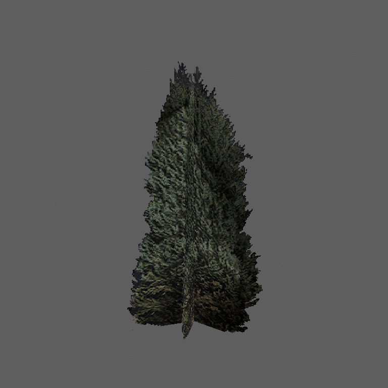 strom morph1