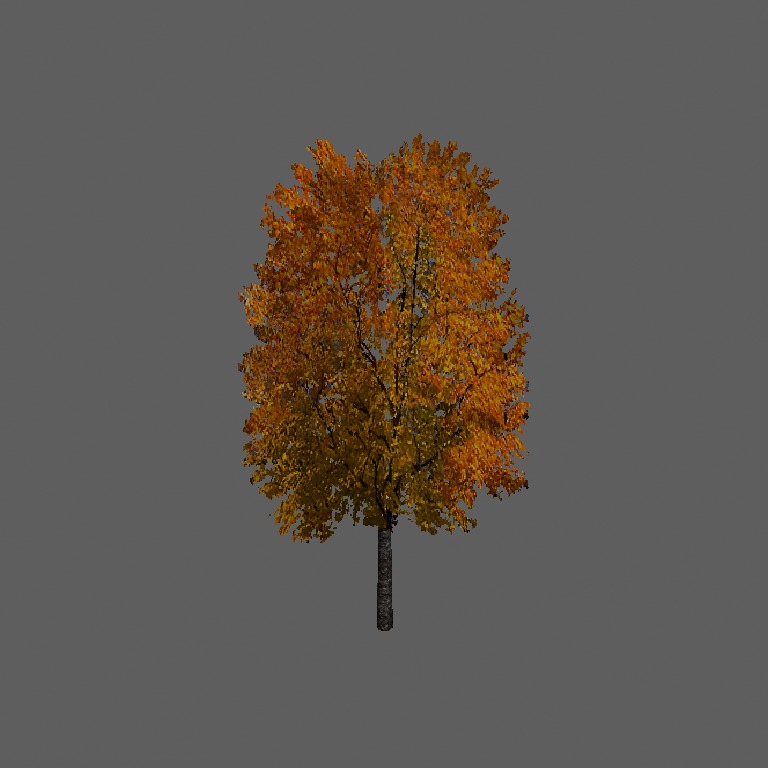 ws_oranz
