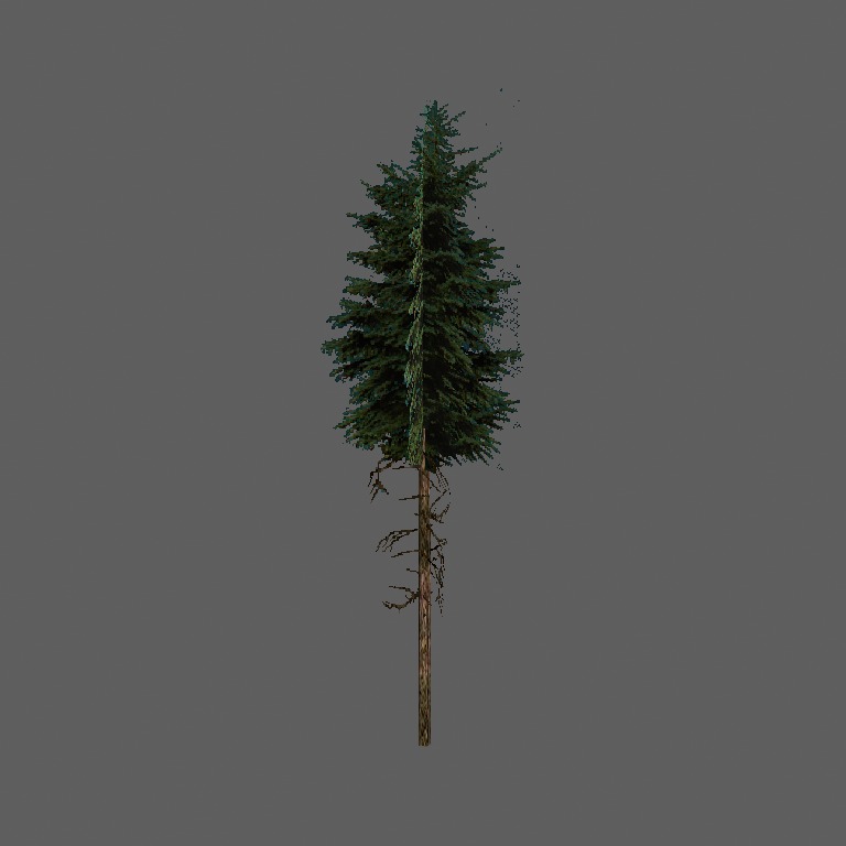 ws_smrk1