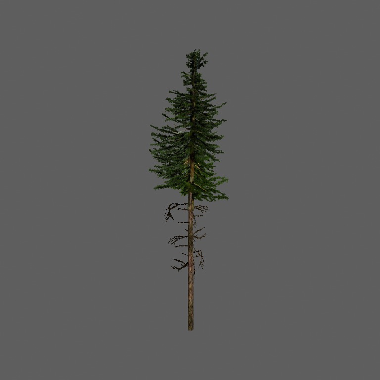 ws_smrk2