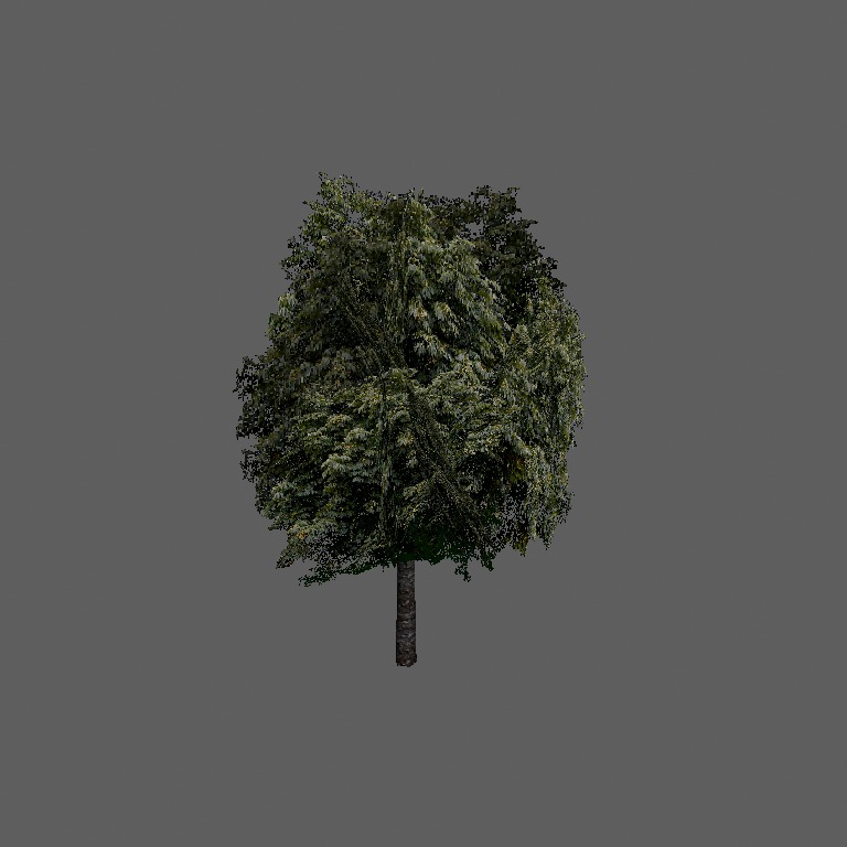 zeleny